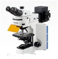 实验室荧光生物显微镜