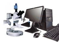 动物胚胎解剖观察显微镜